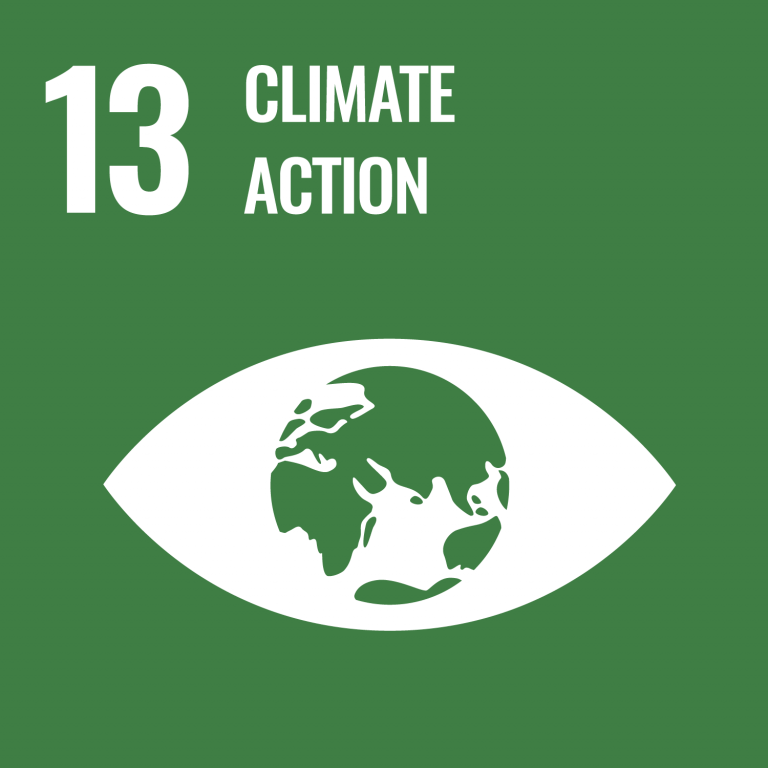 Icon ODS 13- Climate Action