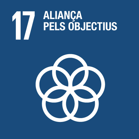 Icona ODS 17- Aliança pels Objectius